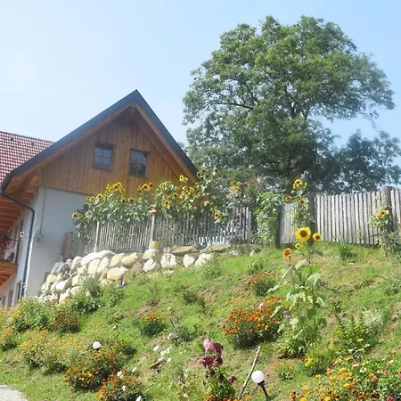 Holiday home Alm-ferienhaus Schleinzer *